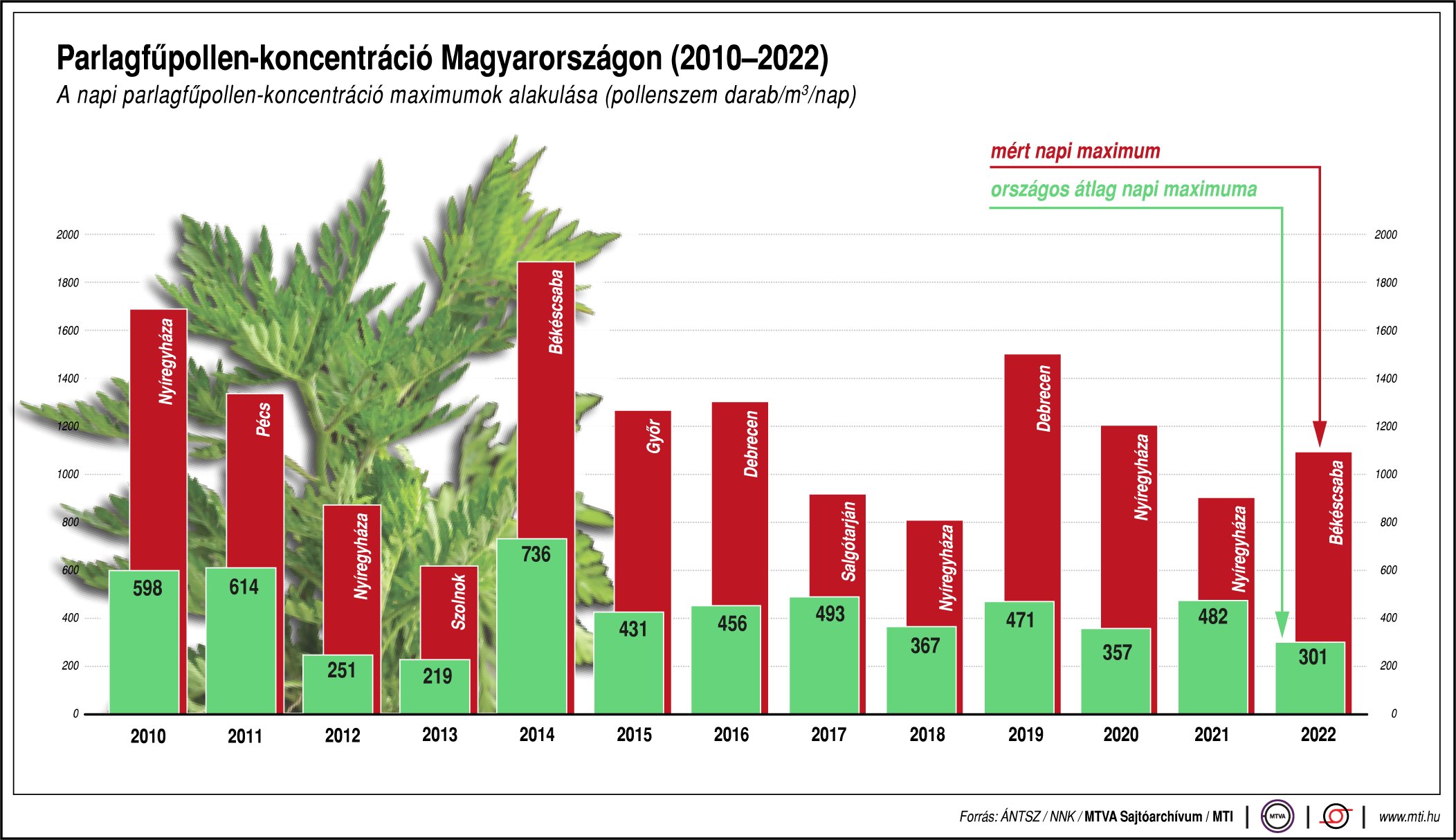 Parlagfűpollen-koncentráció Magyarországon (2010-2022)