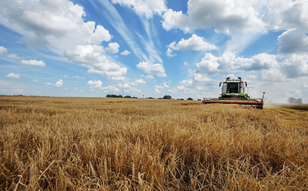 A közelmúltig 1,2-1,3 millió tonna ukrán termény – nagyobb részt kukorica - érkezett hazai felhasználókhoz